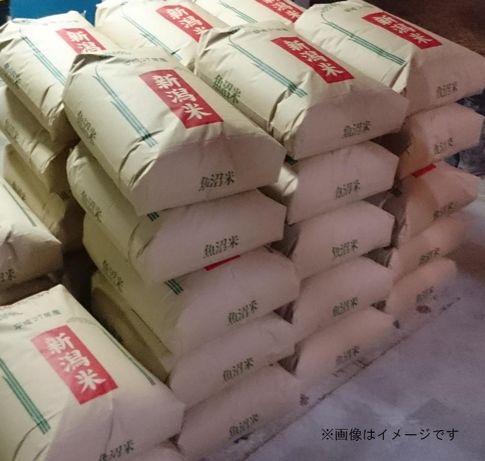 令和5年度産　魚沼産コシヒカリ　玄米３０ｋｇ-