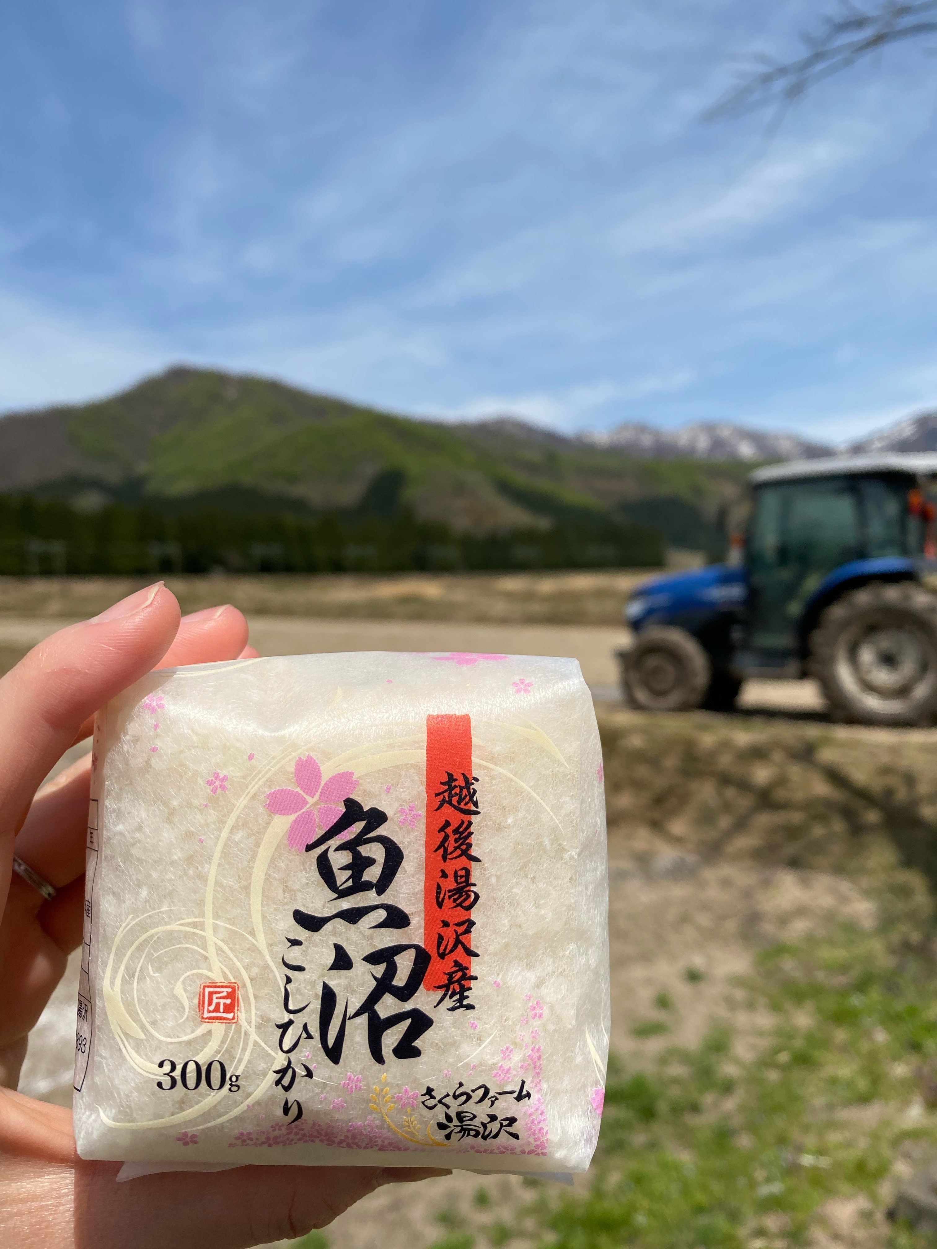 令和６年度産 越後湯沢発 魚沼産コシヒカリ 精米300g（２合）